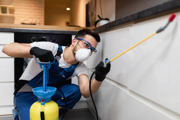 Best Best Pest Control Companies  in Bangor, MI