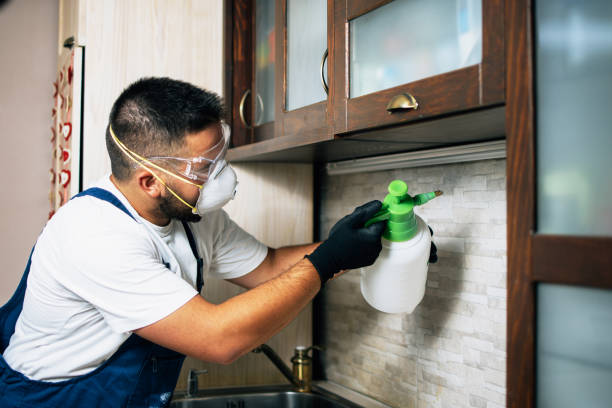 Best Bed Bug Extermination  in Bangor, MI