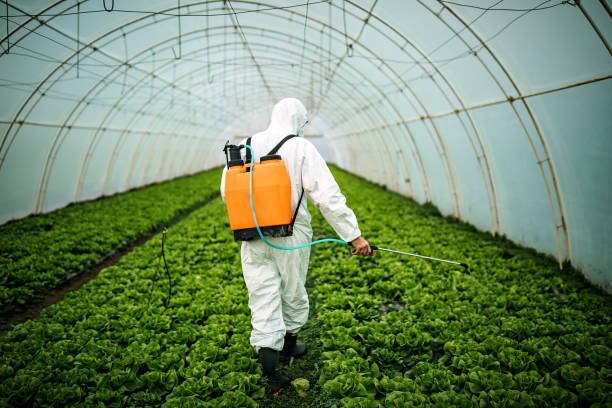 Best Pest Prevention Services  in Bangor, MI