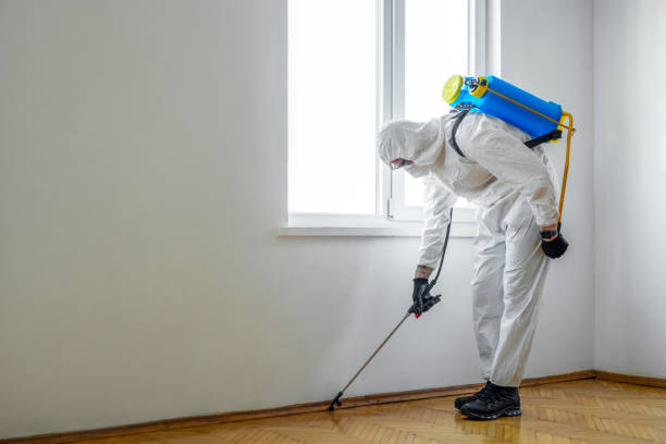 Best Commercial Pest Control Services  in Bangor, MI