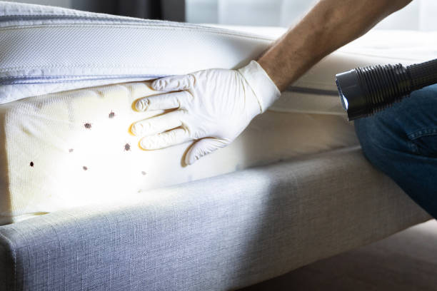 Best Wildlife Control Services  in Bangor, MI