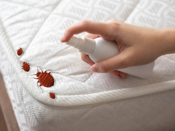 Best Termite Control Services  in Bangor, MI